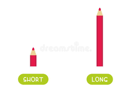 Long Short Pencils Stock Illustrations – 56 Long Short Pencils Stock  Illustrations, Vectors & Clipart - Dreamstime