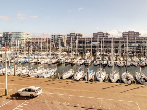Harbour 60