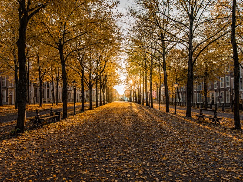 Lange Voorhout
